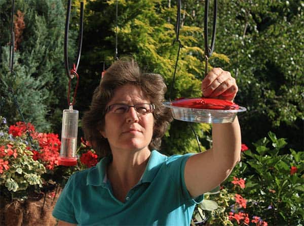 Learn how to attract hummingbirds with this guide from Bird Watcher's Digest.