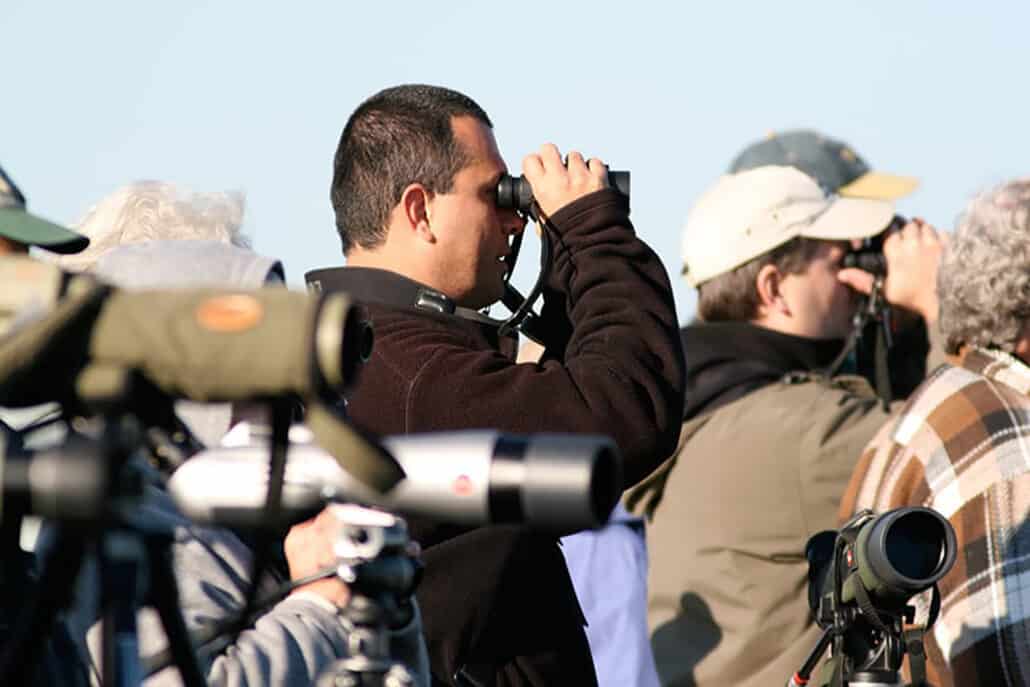 Choosing Pocket Binoculars for Bird Watching