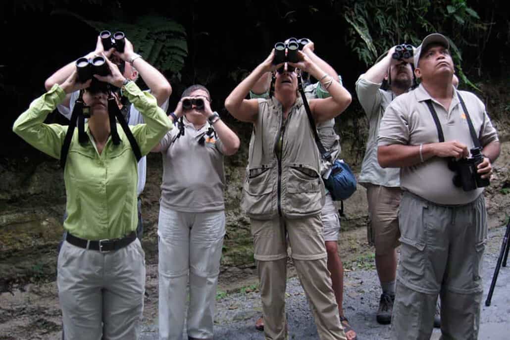 Using Binoculars: Getting Rid of the Pain in Your Neck