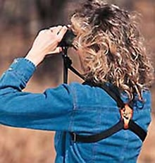 The Bino Harness System by Bird Watcher's Digest.