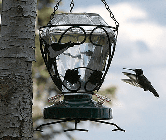 How to Revive a Faded Hummingbird Feeder