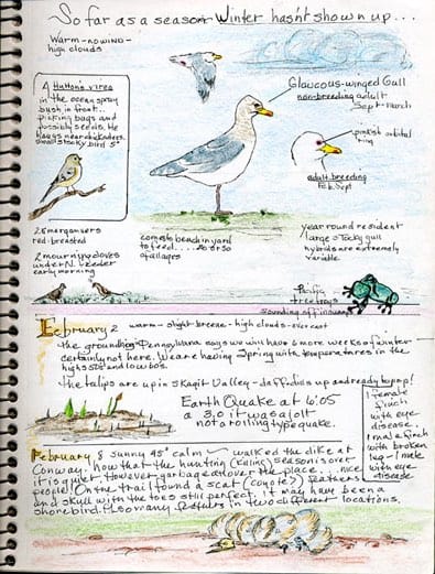 Bird watching journal with illustrations.
