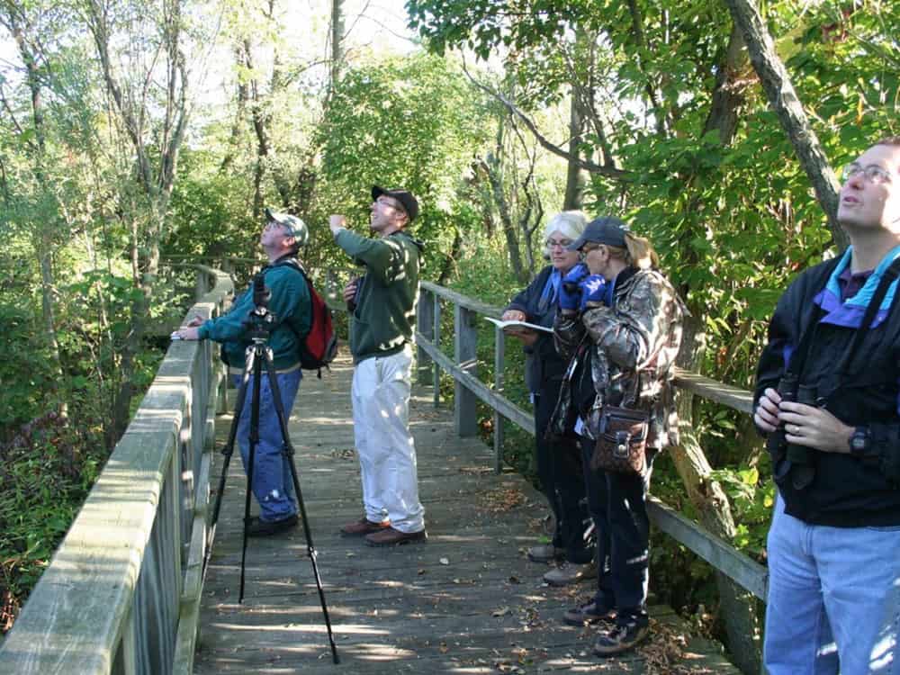 Birders on the boardwalk of the Magee Marsh Wildlife Area in Oak Harbor, OH. Photo by Jim McCormac.