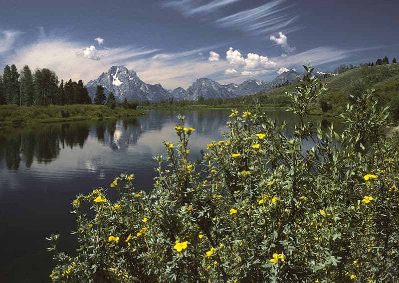 Oxbow Bend outlook in the Grand Teton National Park. Photo by Michael Gäbler / Wikimedia.