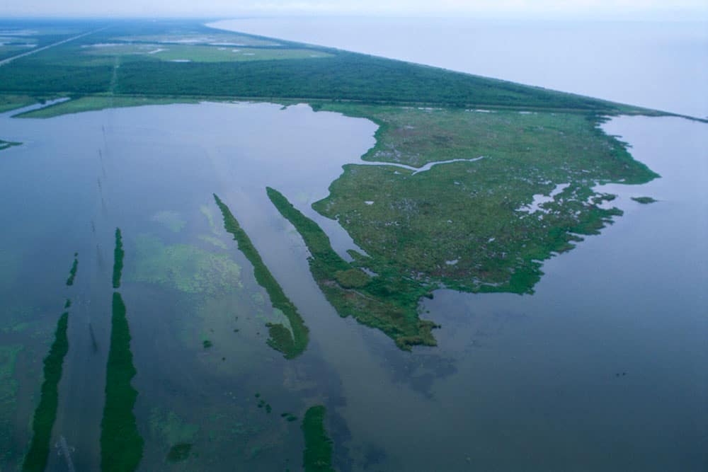 Louisiana wetlands (aerial view) by Ryan Hagerty / USFWS.