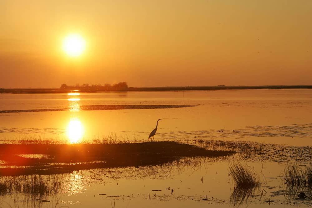 Sunset over Lacassine National Wildlife Refuge, Louisiana. Photo by USFWS.