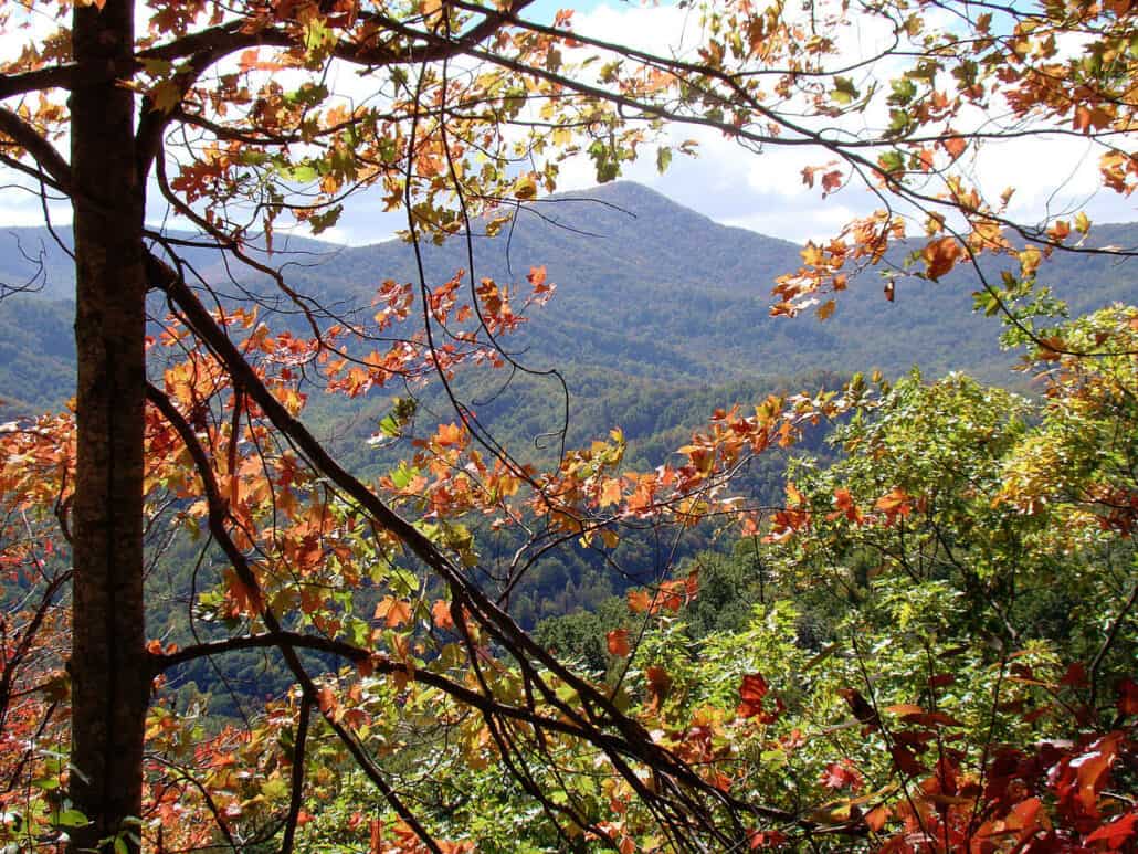 Great Smoky Mountains National Park, Tennessee. Photo by USchick, Wikimedia.