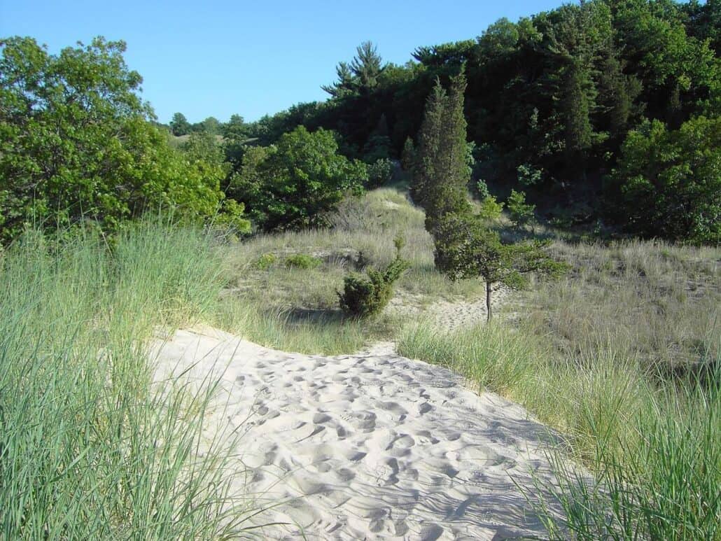 Indiana Dunes State Park in Chesterton, IN. Photo by Lori McCallister / Wikimedia.