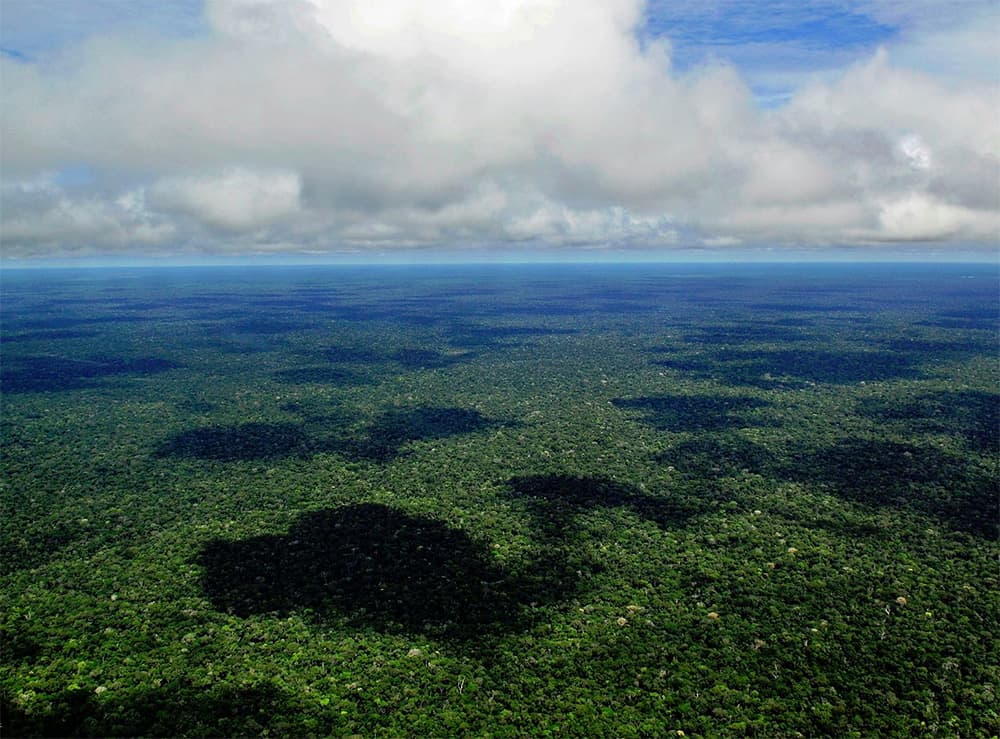 An aerial view of the Amazonian rain forest. Photo by Neil Palmer / Wikimedia.