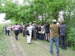 A crowd of birders descends upon Magee Marsh. Photo by Dawn Hewitt.