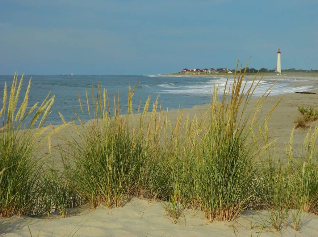 The shoreline of Cape May with a lighthouse in the distance.