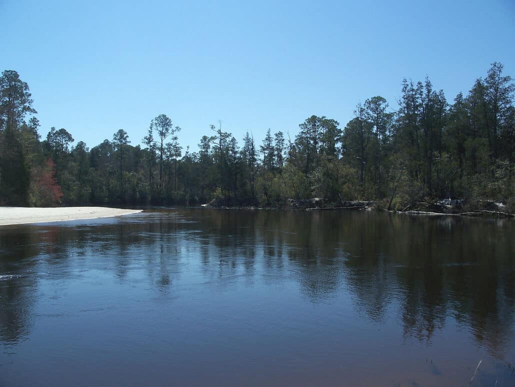 Blackwater River State Park. Photo by Ebyabe / Wikimedia.