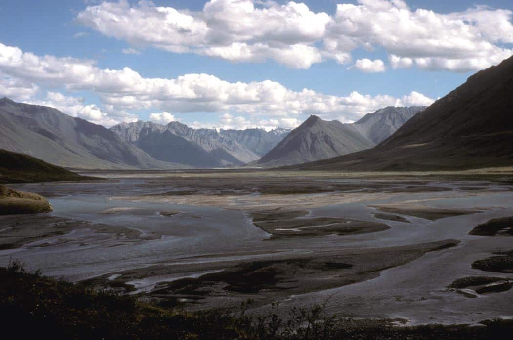 Canning River confluence of Marsh Fork in the Arctic National Wildlife Refuge. Photo by USFWS / Wikimedia.