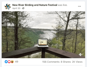 Virtual New River Birding and Nature Festival. Screenshot by J. Melfi.