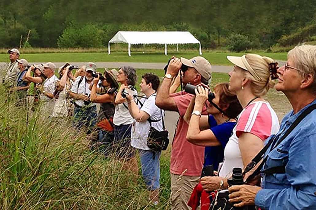 How to Use Binoculars: Helpful Tips for the Field